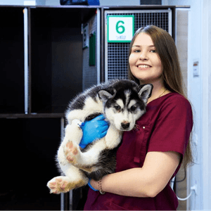 Иванова Иванина Орловская